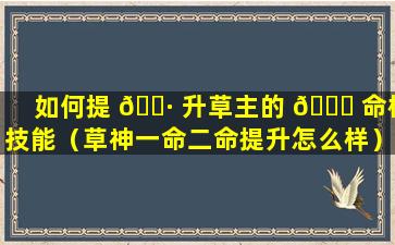 如何提 🌷 升草主的 🐝 命格技能（草神一命二命提升怎么样）